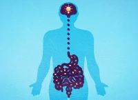 Relación entre microbiota intestinal y salud mental .