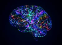 Ilustración de las conexiones neuronales de un celebro en distintos colores con fondo negro