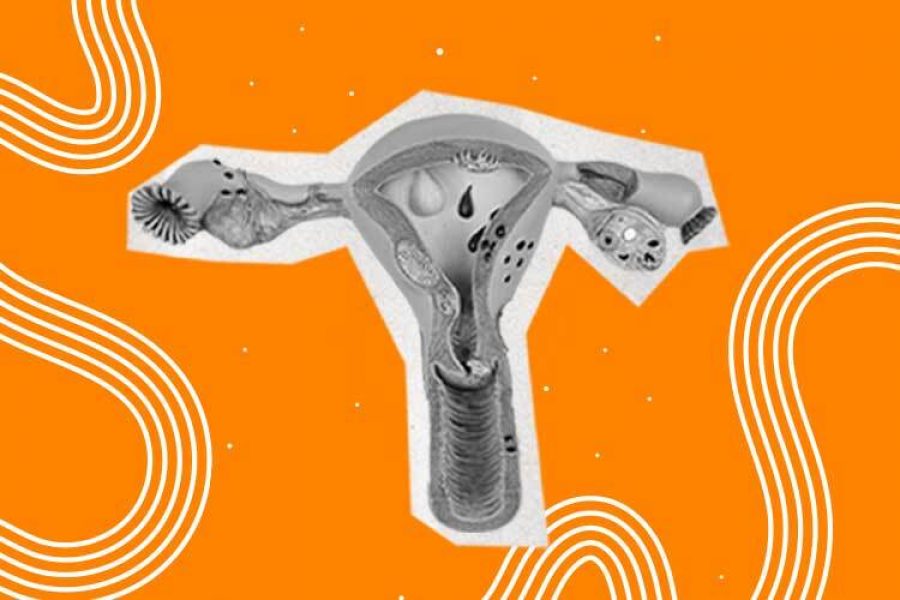 ilustración del aparato reproducitvo femenino interno