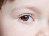 (Foto: Adobe Stock)