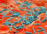 Tuberculosis bacteria