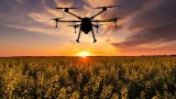 un dron recorre un campo de cultivo y agricultura de precision