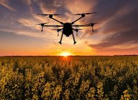 un dron recorre un campo de cultivo y agricultura de precision