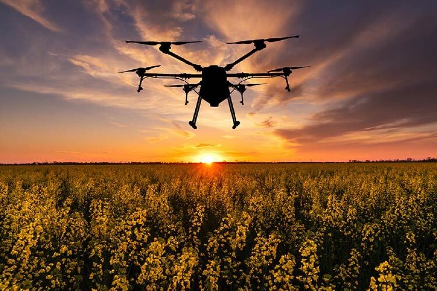 un dron recorre un campo de cultivo y agricultura de precision