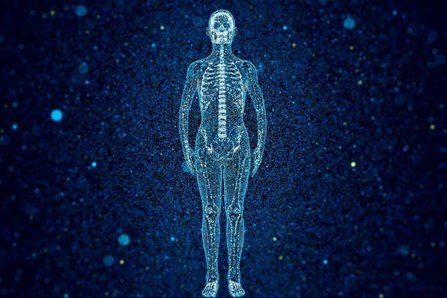 esqueleto humano