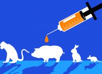 experimentos animales