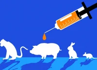 experimentos animales