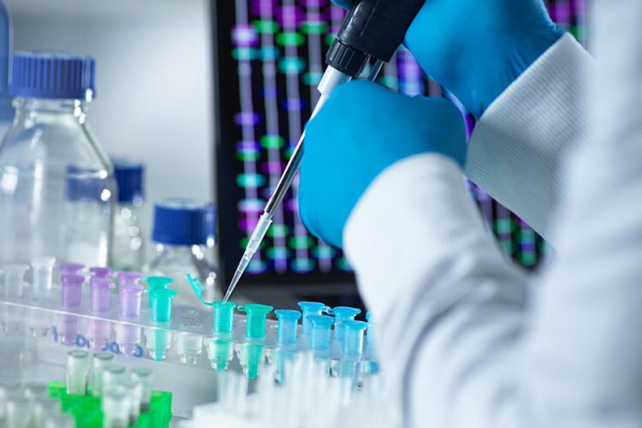 La imagen muestra un entorno de laboratorio en primer plano, donde una persona con bata blanca y guantes azules utiliza una pipeta para transferir un líquido a uno de varios tubos de ensayo pequeños. Los tubos de ensayo están dispuestos en un soporte y contienen líquidos de varios colores, incluyendo azul, verde y transparente. En el fondo, se ven imágenes borrosas de otros equipos de laboratorio y gráficos de barras verticales en una pantalla de computadora o monitor. Esta imagen representa investigaciones científicas o experimentos realizados en un entorno de laboratorio, relacionados con campos como la biología, la química o la medicina.