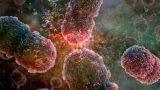 comunidades bacterianas
