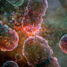 comunidades bacterianas