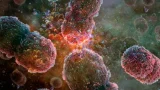comunidades bacterianas