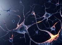 En la foto se ve una ilustración de sistemas de neuronas con conexiones brillantes.