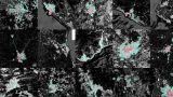 Mosaico de imágenes satelitales de nueve ciudades mexicanas mostrando zonas urbanas en rosa y áreas de expansión en verde