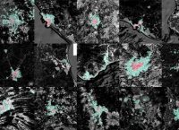 Mosaico de imágenes satelitales de nueve ciudades mexicanas mostrando zonas urbanas en rosa y áreas de expansión en verde