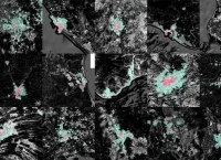 Mosaico de imágenes satelitales de nueve ciudades mexicanas mostrando zonas urbanas en rosa y áreas de expansión en verde