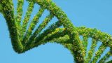 imagen de adn de plantas