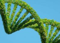 imagen de adn de plantas
