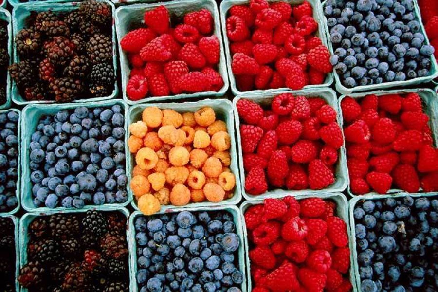 Fotografía de moras azules, arándanos y frambuesas..