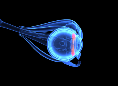 estructura de cornea en imagen computarizada