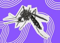 imagen de un mosquito vector