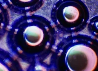 imagen de saliva en el microscopio