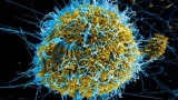 Personal médico y equipos de respuesta sanitaria atienden el brote de ébola en África central tras la alerta internacional emitida por la OMS.