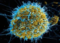 Personal médico y equipos de respuesta sanitaria atienden el brote de ébola en África central tras la alerta internacional emitida por la OMS.