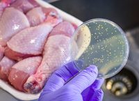 Placa de cultivo bacteriano con carne de pollo al fondo