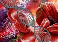 Se muestra una imagen generada por computadora de moléculas (hélices) de ADN (ácido desoxirribonucleico) y glóbulos rojos. Hay una serie de trastornos sanguíneos causados por mutaciones genéticas y, por lo tanto, pueden transmitirse de padres a hijos.