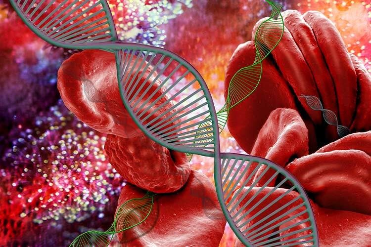 En la imagen se muestra una imagen generada por computadora de moléculas (hélices) de ADN (ácido desoxirribonucleico) y glóbulos rojos. Hay una serie de trastornos sanguíneos causados por mutaciones genéticas y, por lo tanto, pueden transmitirse de padres a hijos.