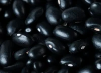 Semillas de frijol negro