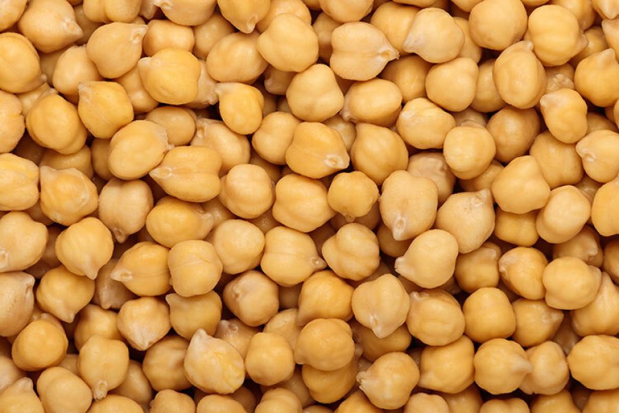El equipo busca integrar los beneficios nutricionales de los garbanzos biofortificados en productos alimenticios cotidianos como snacks y tortillas. (Foto: Getty Images)