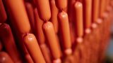 salchichas