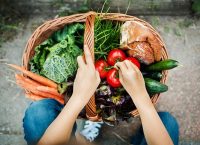 nanobiotecnologia fertilizantes