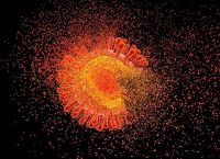 Ilustración 3D de una partícula del virus del VIH, de color naranja y amarillo, que se desintegra en fragmentos sobre un fondo negro.