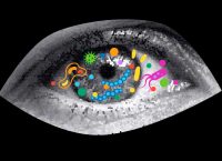 ilustración de microorganismos en el ojo