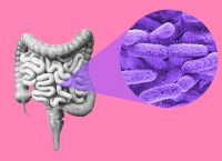 En la imagen se ven los intestinos humanos y un acercamiento a la microbiota