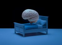 imagen de un cerebro en cama