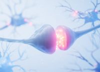 ilustración de la sinapsis entre dos neuronas