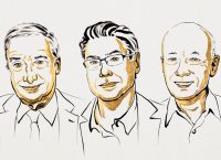 nobel-economia 2025