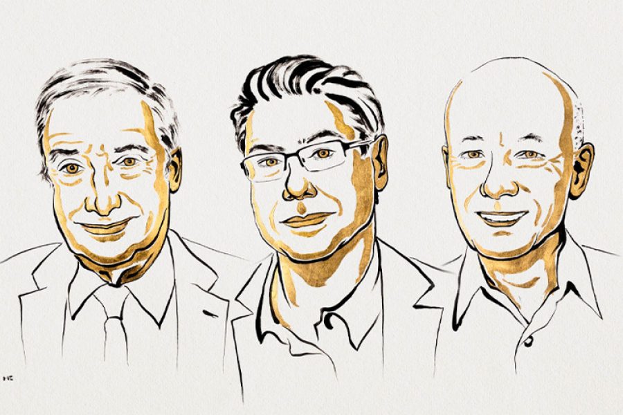 nobel-economia 2025