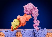 ilustración de proteínas en las neuronas