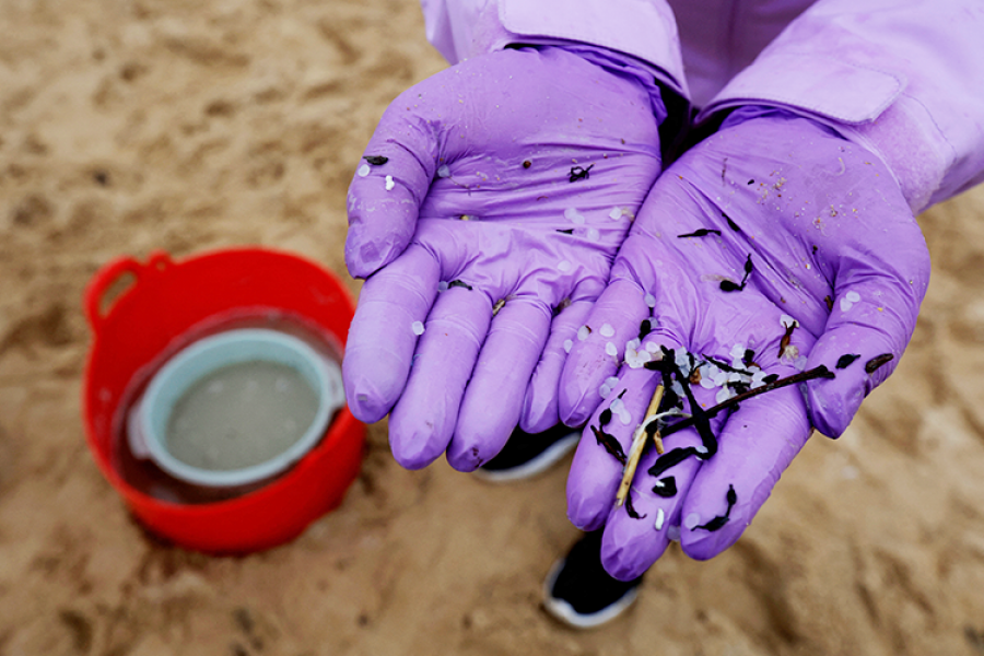 imagen de una mano sosteniendo pelets en la arena