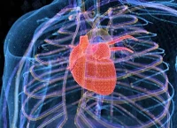 Uno de los proyectos se enfoca en reducir la hipertrofia cardiaca, es decir, el crecimiento anormal del corazón. (Ilustración: Getty Images)