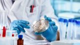Acercamiento a un recipiente de vidrio en el laboratorio