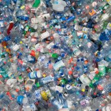 Cientos de botellas de PET en proceso de reciclaje o reuso