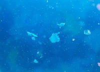 Acercamiento de microplásticos en el agua
