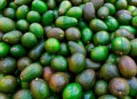imagen de aguacates