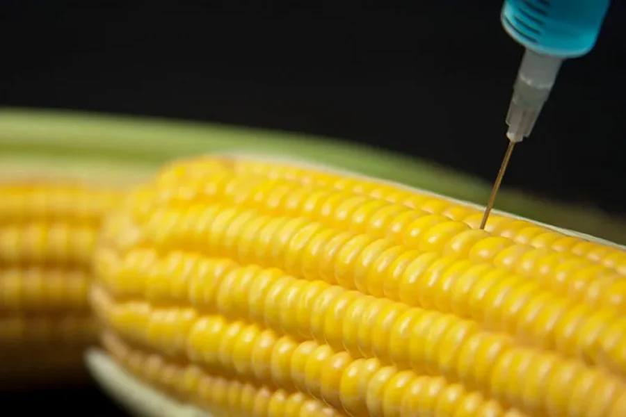 transgenicos qué es