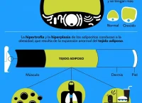 ilustración de científicos revisando comida